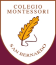 Logo de Colegio Montessori