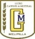 Logo de Liceo Gabriela Mistral 