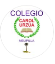 Logo de Colegio General Carol Urzúa
