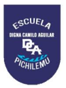 Logo de Escuela Digna Camilo Aguilar