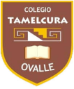 Logo de Colegio Tamelcura