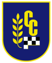Logo de Colegio Concepción De Chillan
