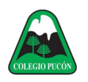 Logo de Colegio Pucón
