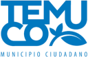 Logo de Liceo Bicentenario De Temuco