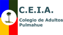 Logo de Colegio De Adultos Pulmahue