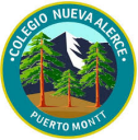 Logo de Colegio Nueva Alerce