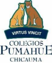 Logo de Colegio Pumahue Chicauma