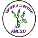 Logo de Colegio Llequen