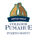 Logo de Col·legi Pumahue
