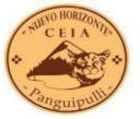 Logo de Colegio Nuevo Horizonte