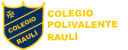 Logo de Colegio Polivalente Raulí