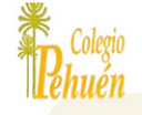 Logo de Colegio Pehuén