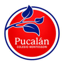Logo de Colegio Montessori Pucalán
