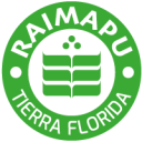 Logo de Colegio Raimapu tierra 