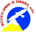 Logo de Instituto Cumbre De Condores