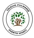 Logo de Colegio Pulmahue