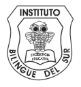 Instituto  Bilingue Del Sur