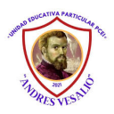 Logo de Unidad Educativa Particular PCEI Andrés Vesalio