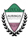 Logo de Instituto Auringis