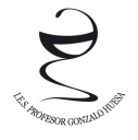Logo de Instituto Profesor Gonzalo Huesa