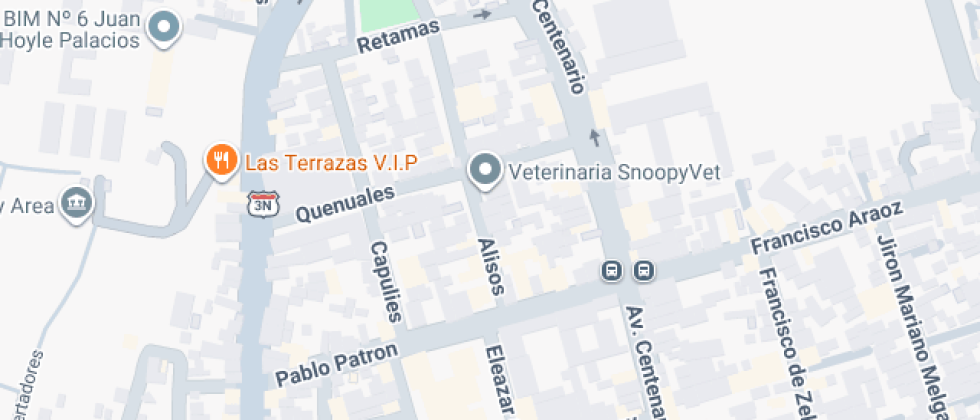 Colegio Peruano Americano