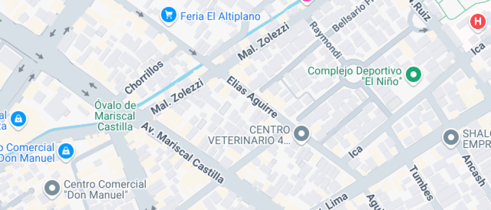 Walter Peñaloza Ramella