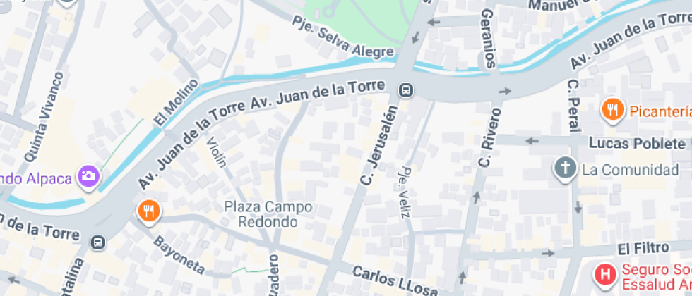 Colegio Colegio Mayor Mendel