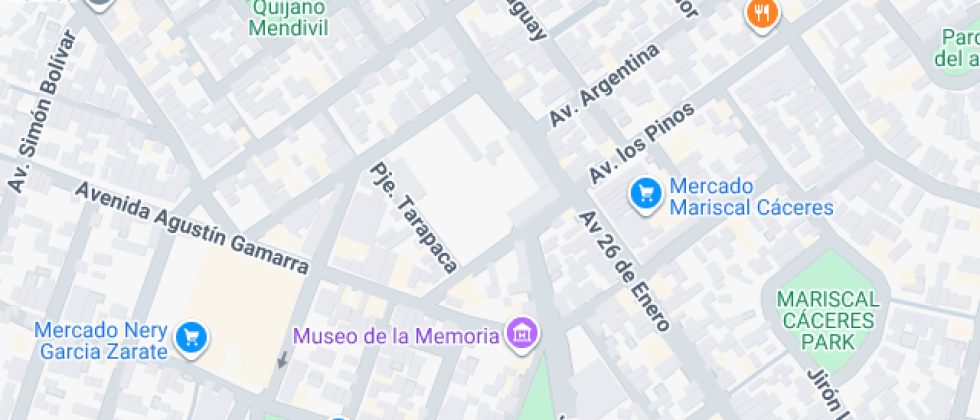 Colegio Federico Froebel