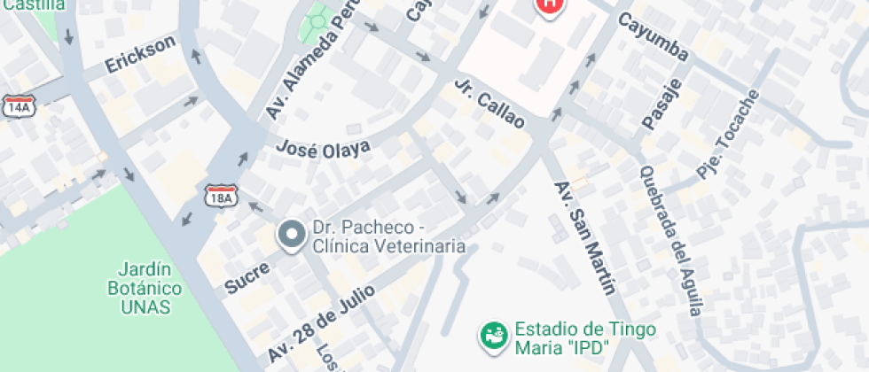 Jardin Infantil Santiago Antunez De Mayolo