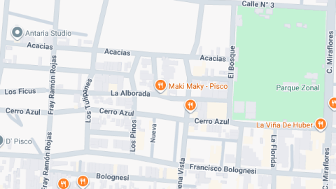 location map image