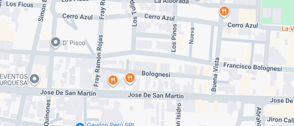 Colegio Santo Domingo De Guzman