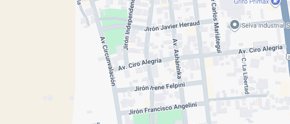 Señor De La Misericordia