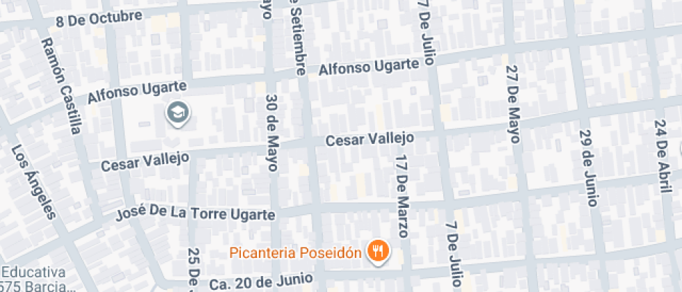 Colegio Los Angeles School