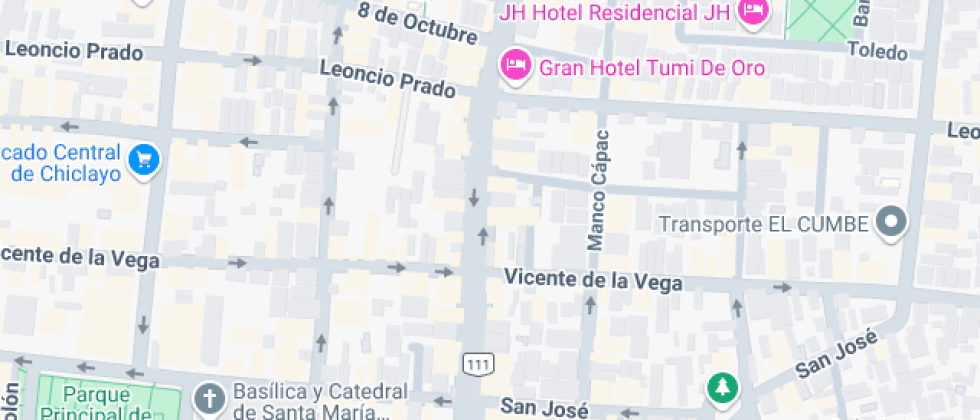 Instituto La católica