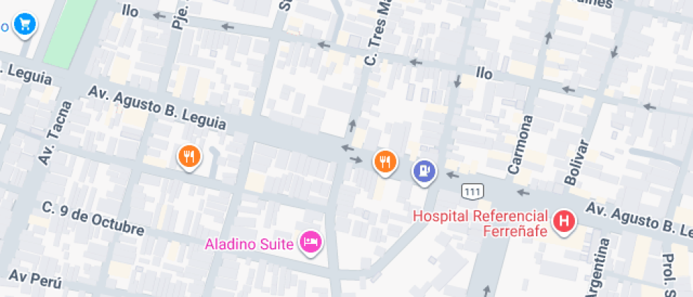 IE La Medalla Milagrosa