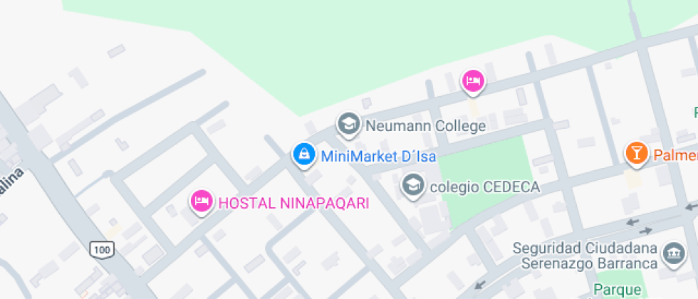 Colegio Neumann College