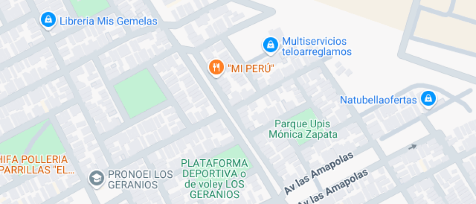 School Vision Del Futuro