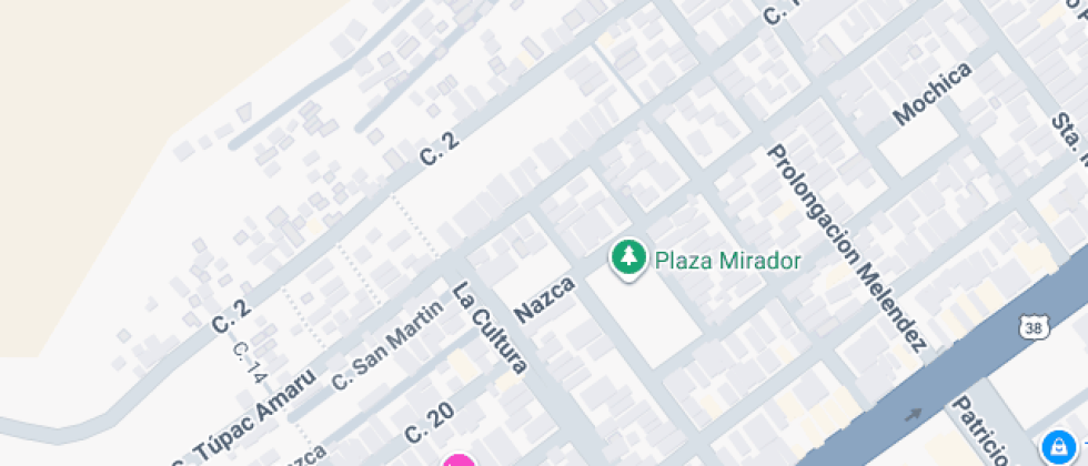 Cristina Vildoso Berrios