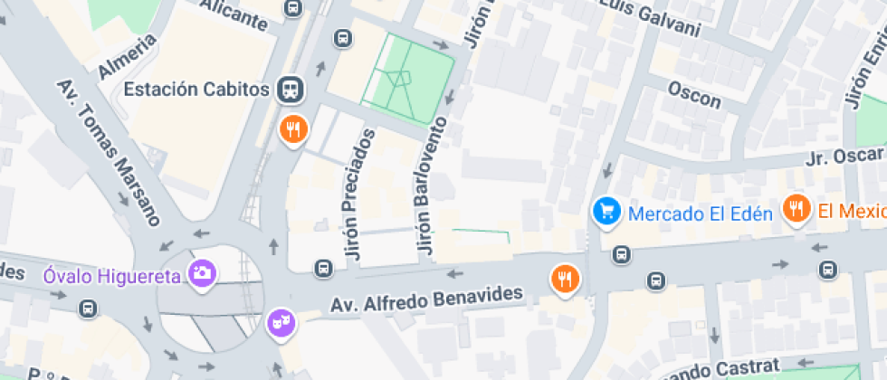 La Inmaculada Concepción