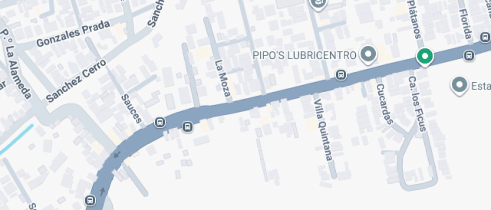 Peruano Alemán Beata Imelda