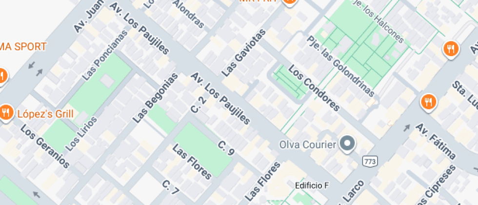 Colegio Daleph College