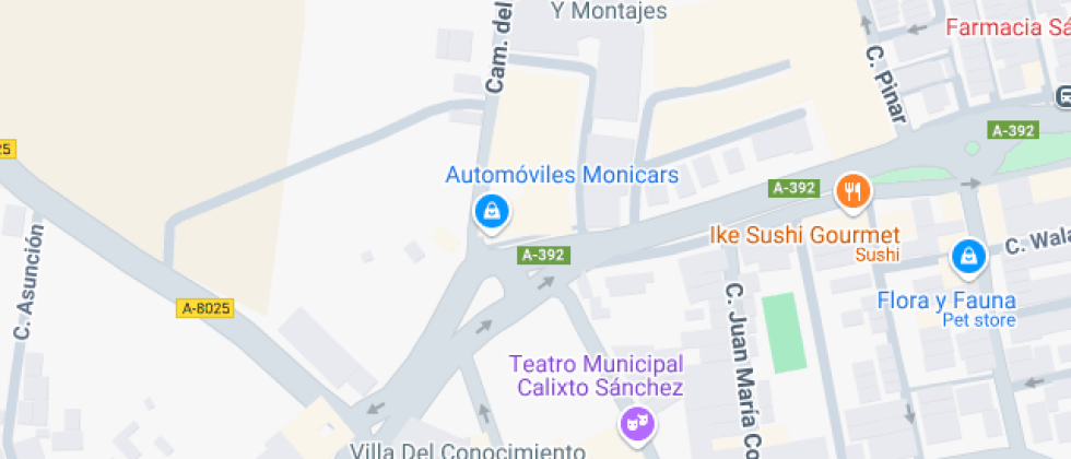 Manuel Romero Arregui