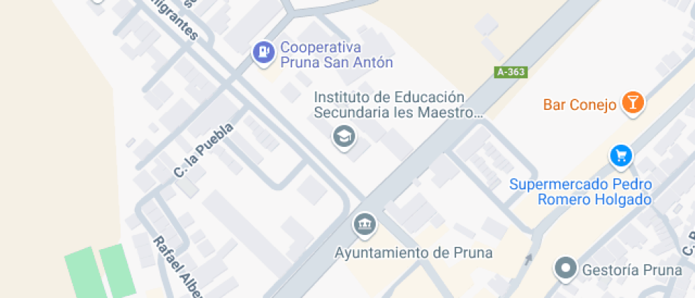 Maestro José Zamudio