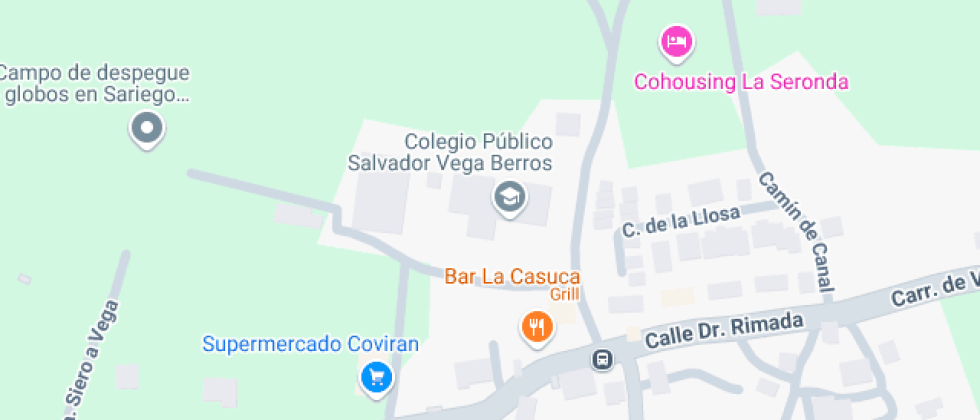 Salvador vega berros