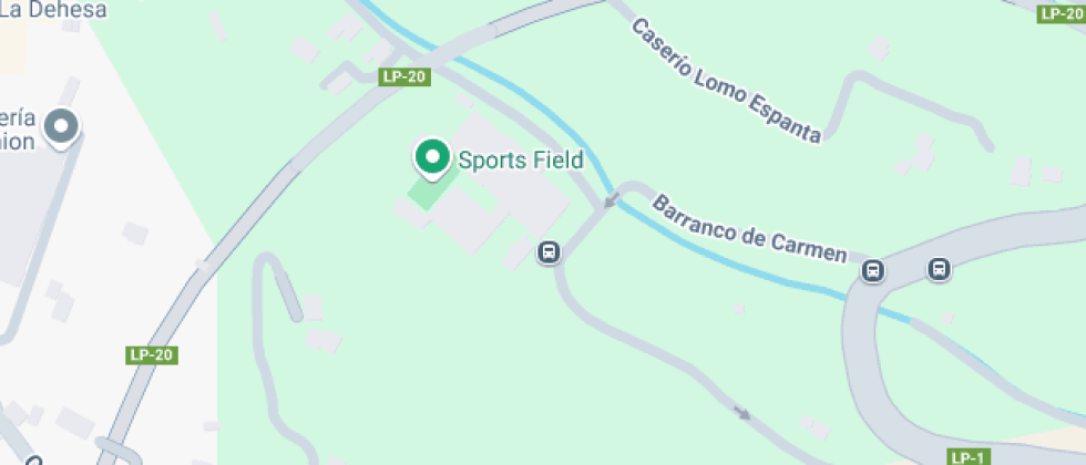 Virgen De Las Nieves