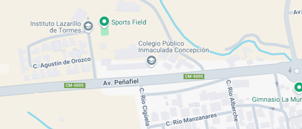 Inmaculada Concepción