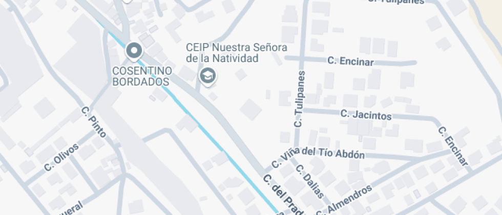 Nuestra Señora De La Natividad