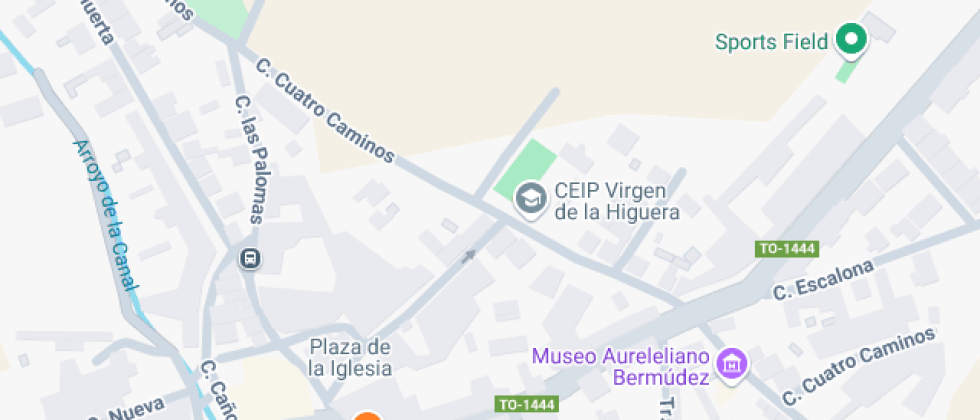 Virgen De La Higuera