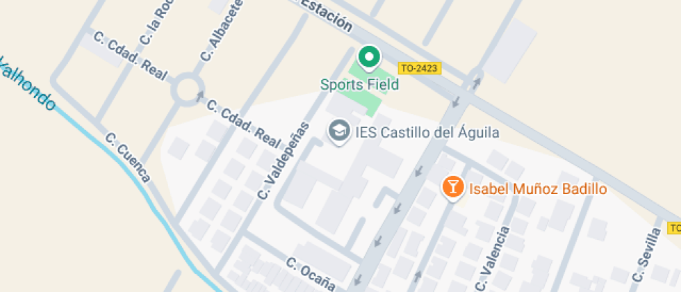 Castillo Del águila