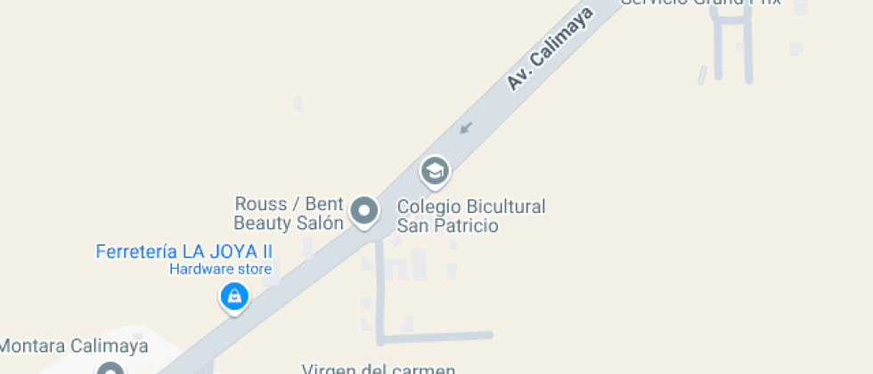  Bicultural San Patricio